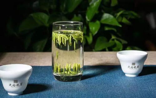 天府龍芽 攜四川主產茶區 三山一早 公共品牌登陸紐約時報廣場