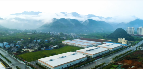 &ldquo;抹茶之都&rdquo;銅仁貴茶順利通過雨林聯(lián)盟等國際認證